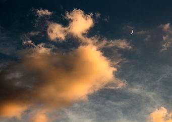 Moon Lover