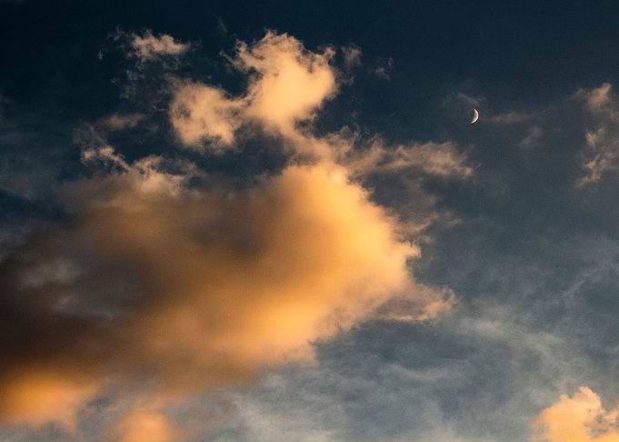 Moon Lover