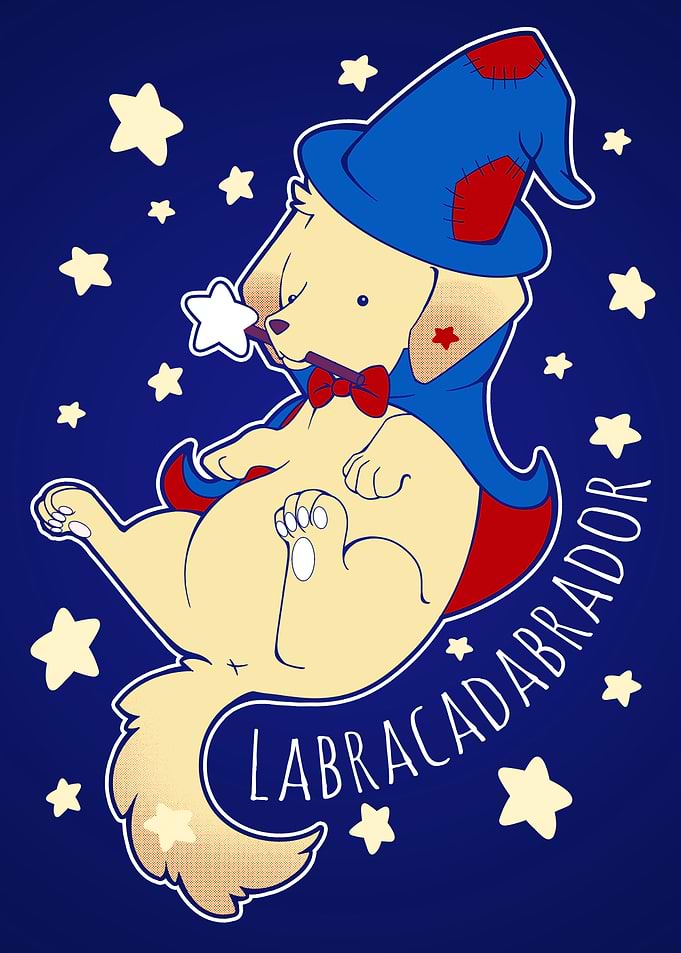 Labracadabrador