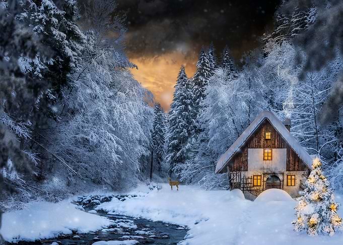 Christmas Edition 2