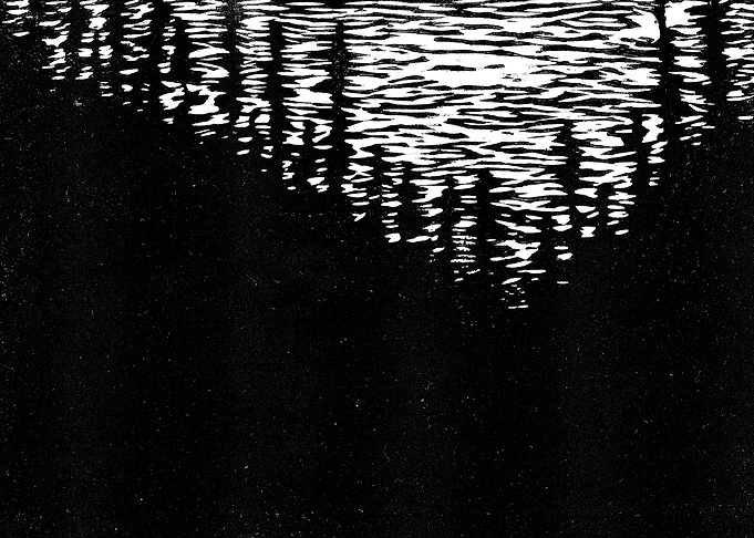 Dark Forest