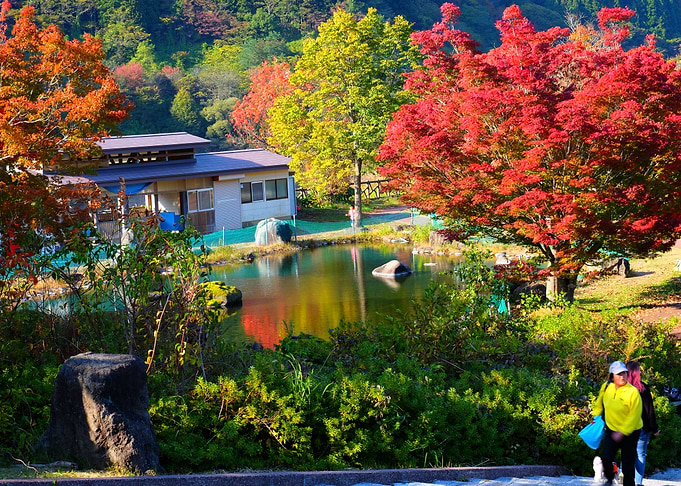Michinoeki Nijinoko