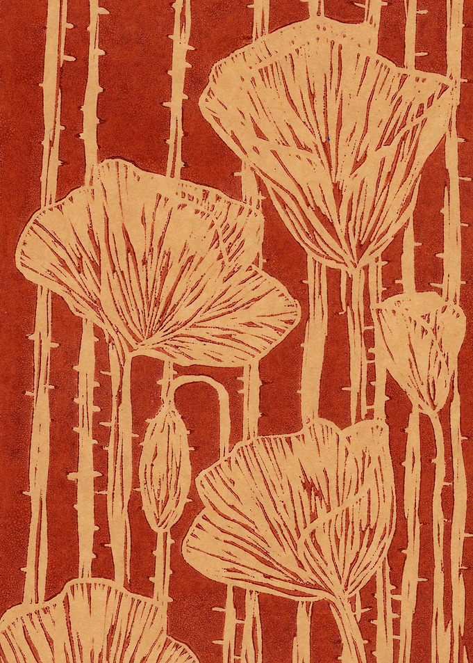 Brown Poppies