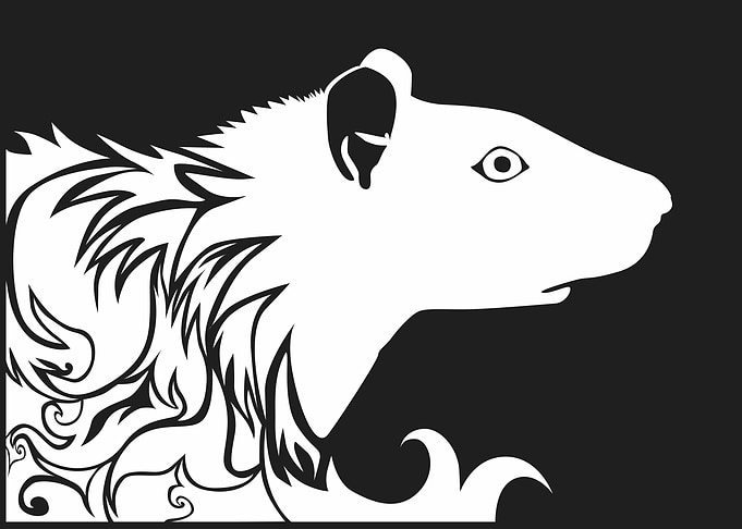 Rat silhouette