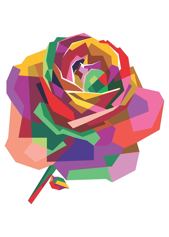 Colorful Rose Flower