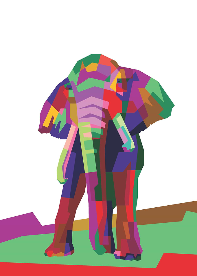 Colorful Elephant