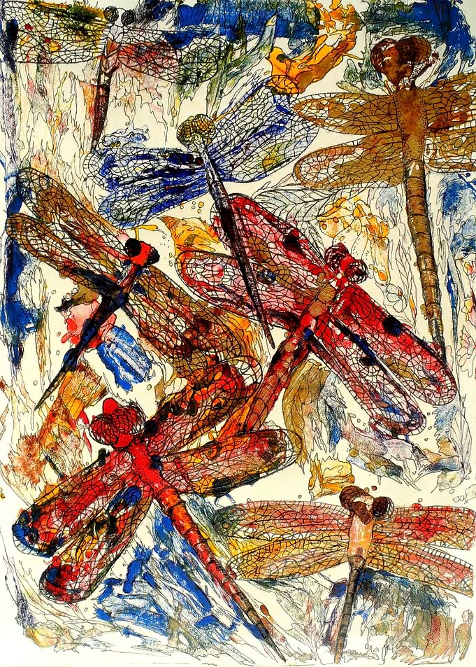 Dance of Dragonflies