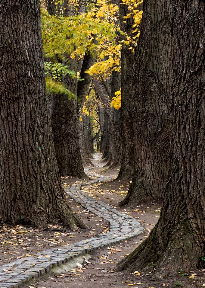 Autumn walk
