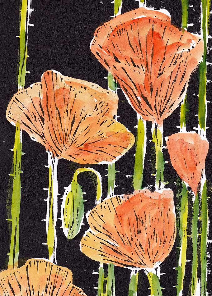 Colorful Poppies