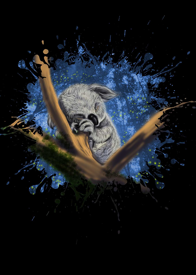 Koala