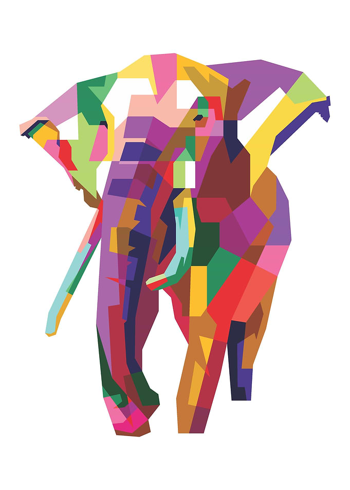 Colorful Elephant