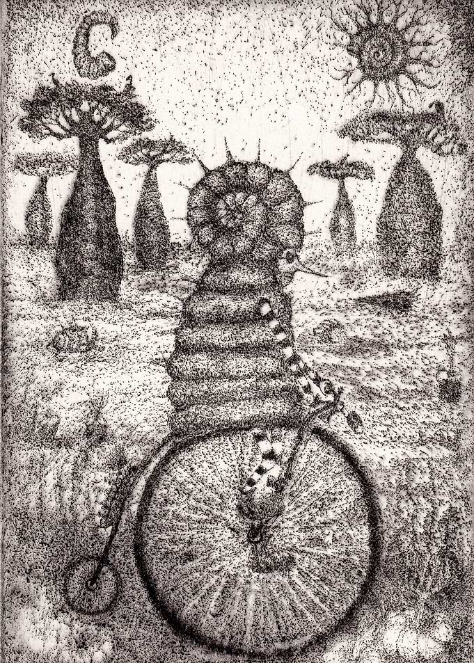 B and W Seashell Traveler