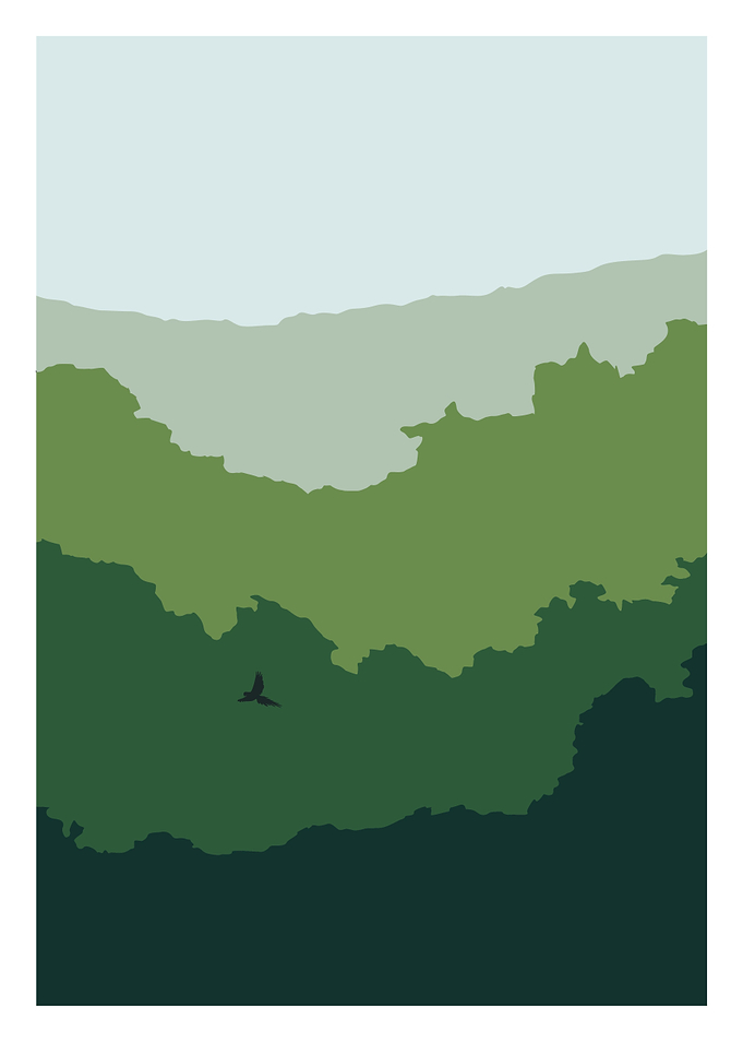 Forests