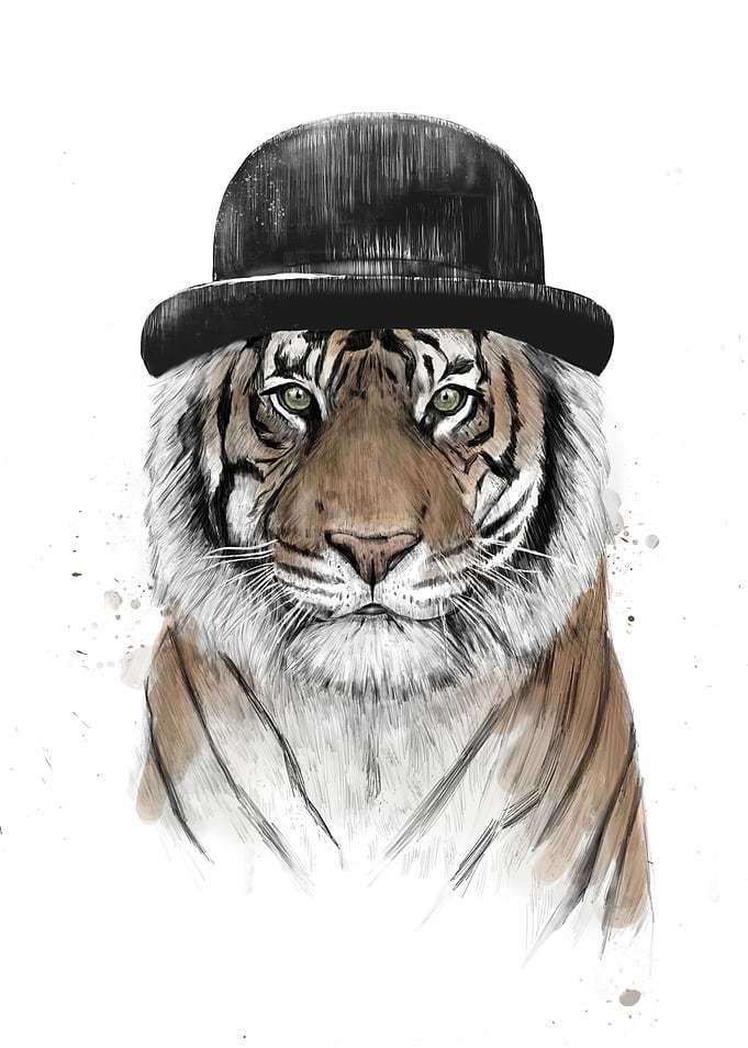 Welcome to the jungle II