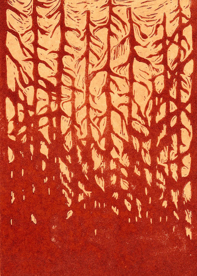 Shady Forest