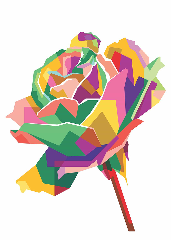 Colorful Rose Flower