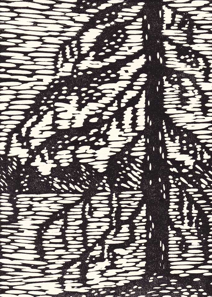 Black Pine at a Lake