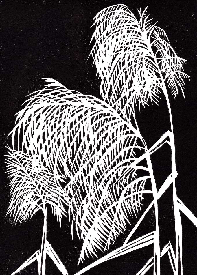 White Grass