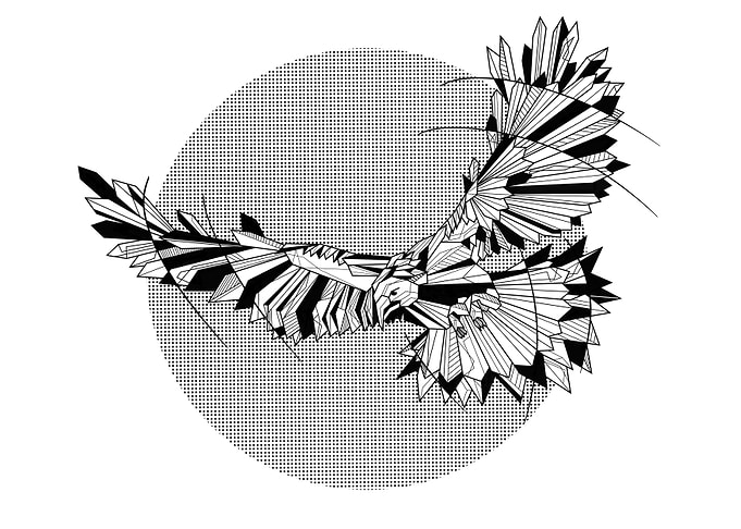 Hawk Geometric