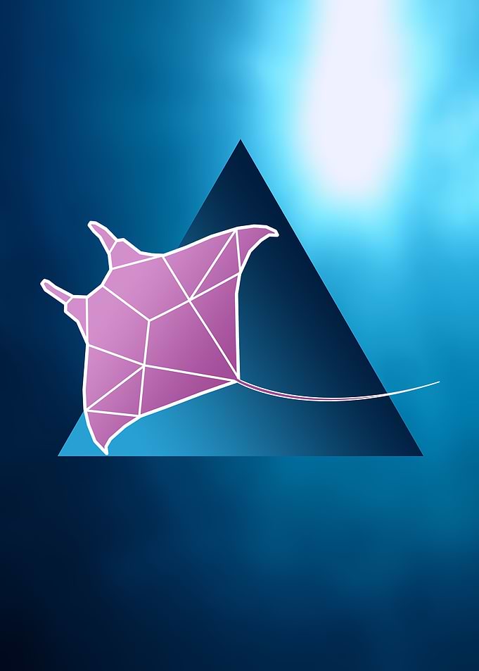 Geometric Stingray