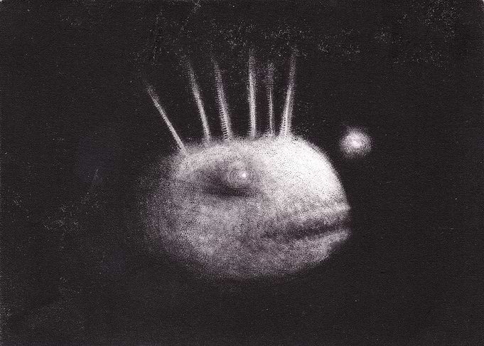 Shining Black Water Fish