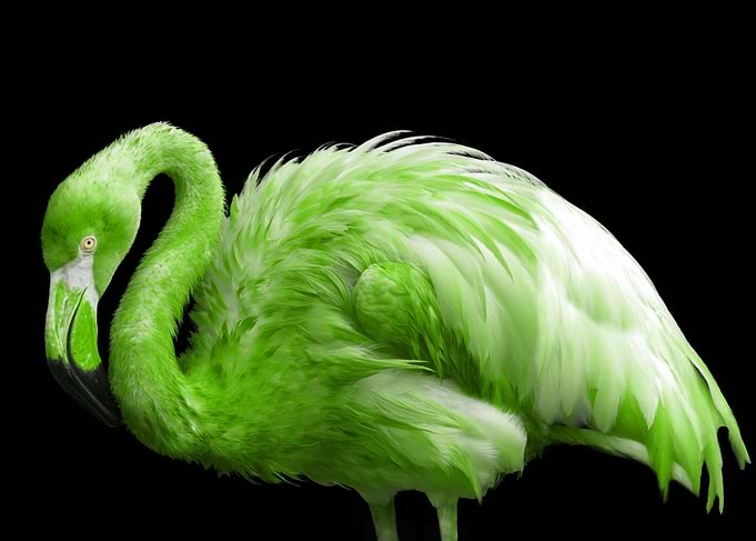 Lime green