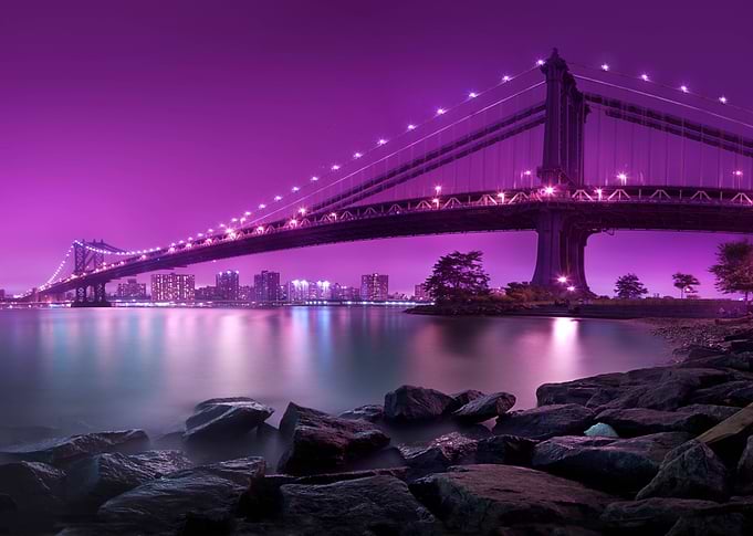 San Fransisco Dream