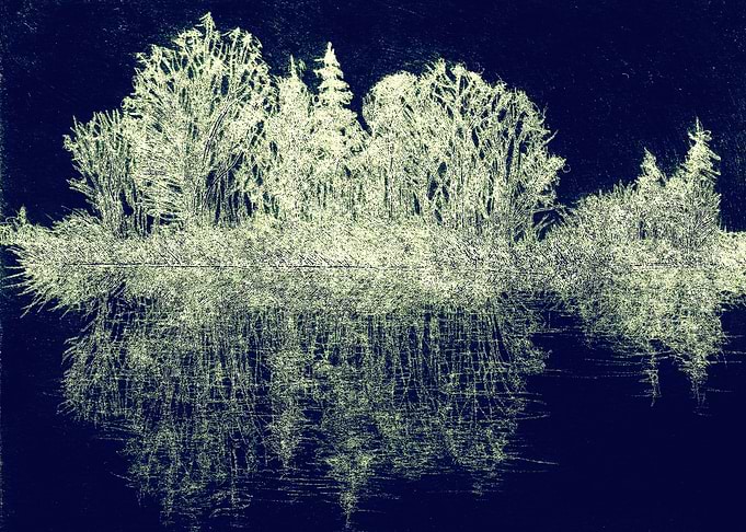 Burning Island on a Lake