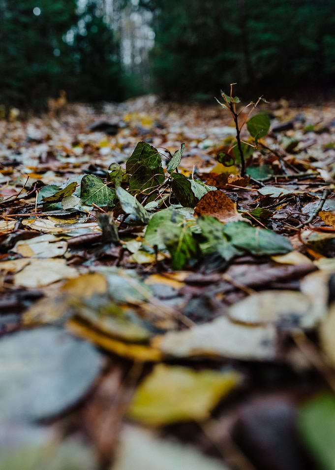 November