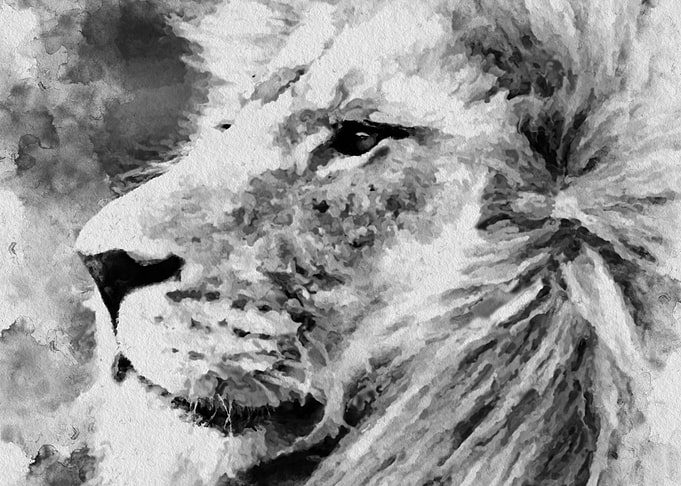 Lion Black and White