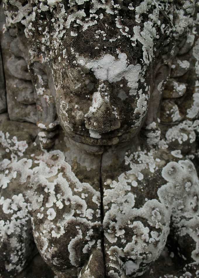 Ankor Angel