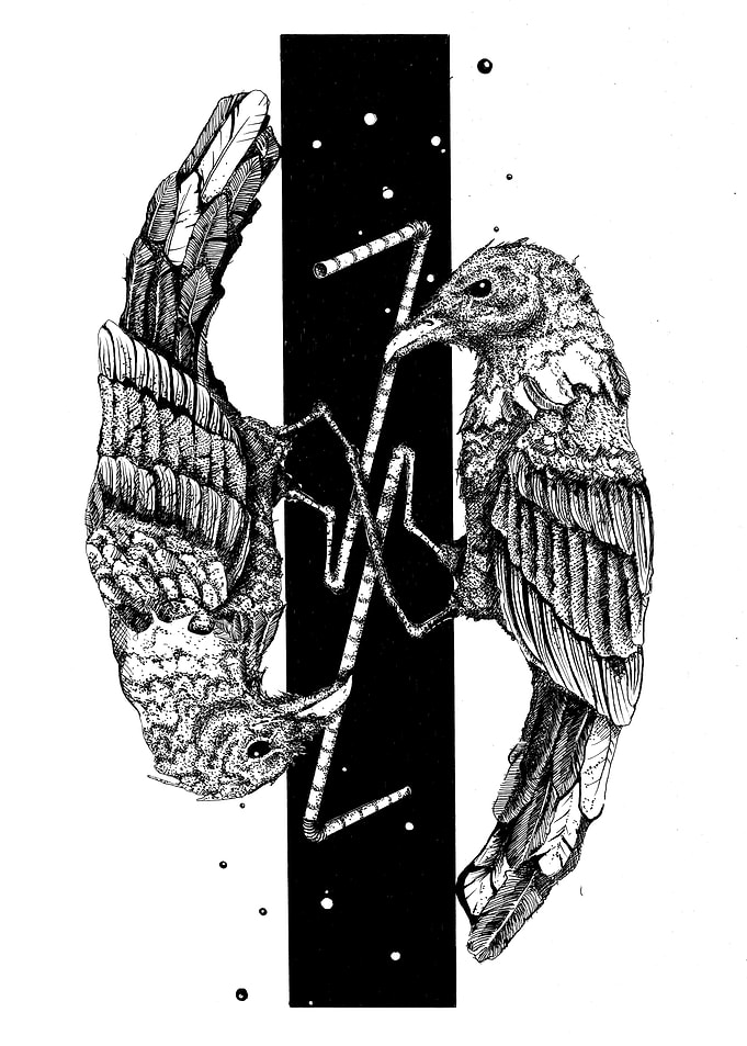 Crows and Straws