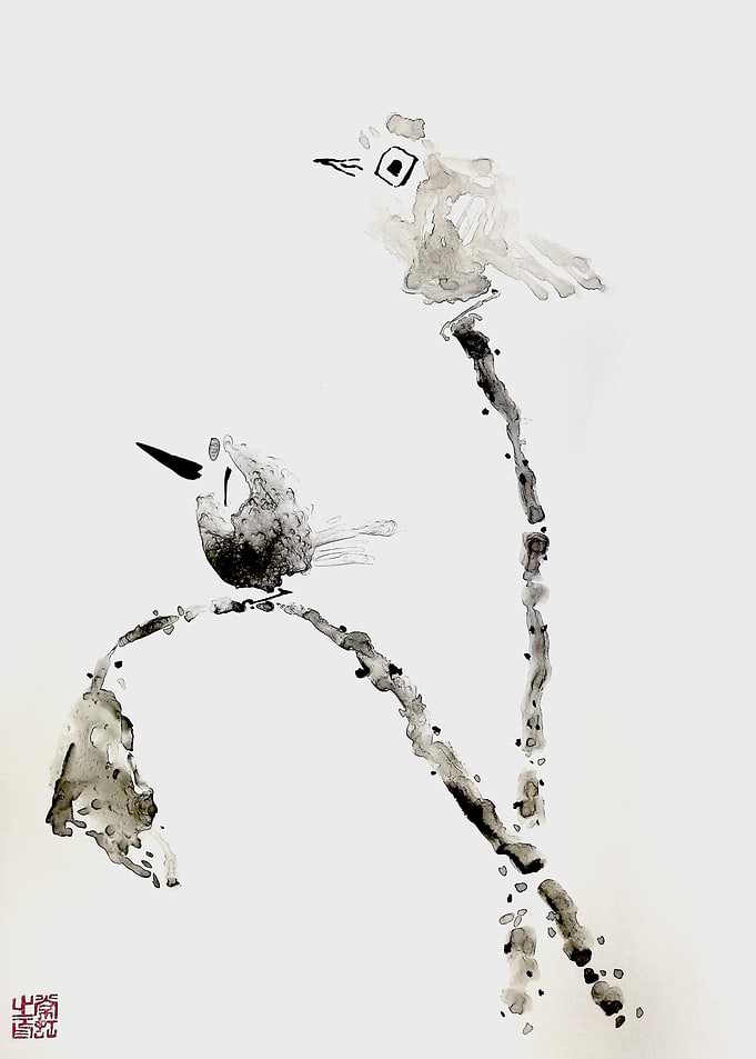 Birds