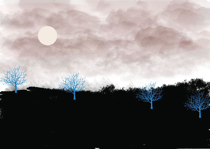 Grey Sky Full Moon