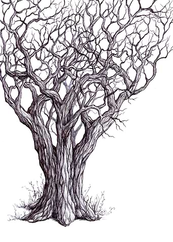 Tangled Tree