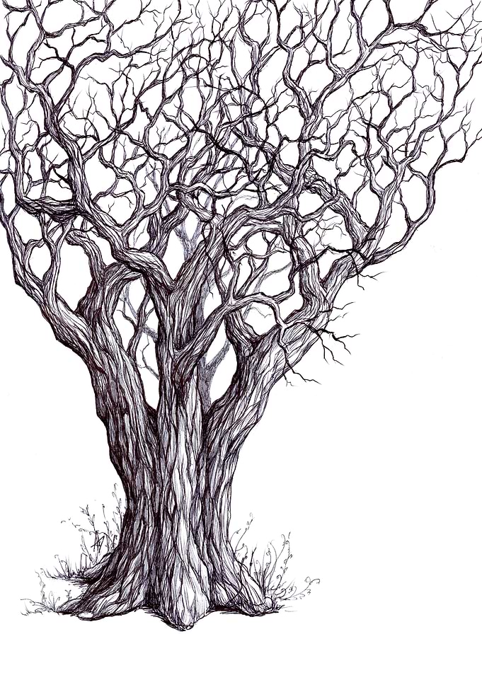 Tangled Tree