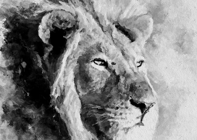 Lion Black and White