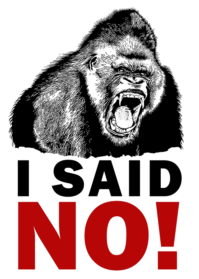 I SAID NO
