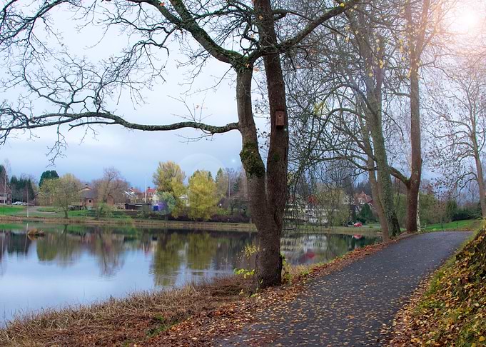 Sunny Autumn day in Sweden