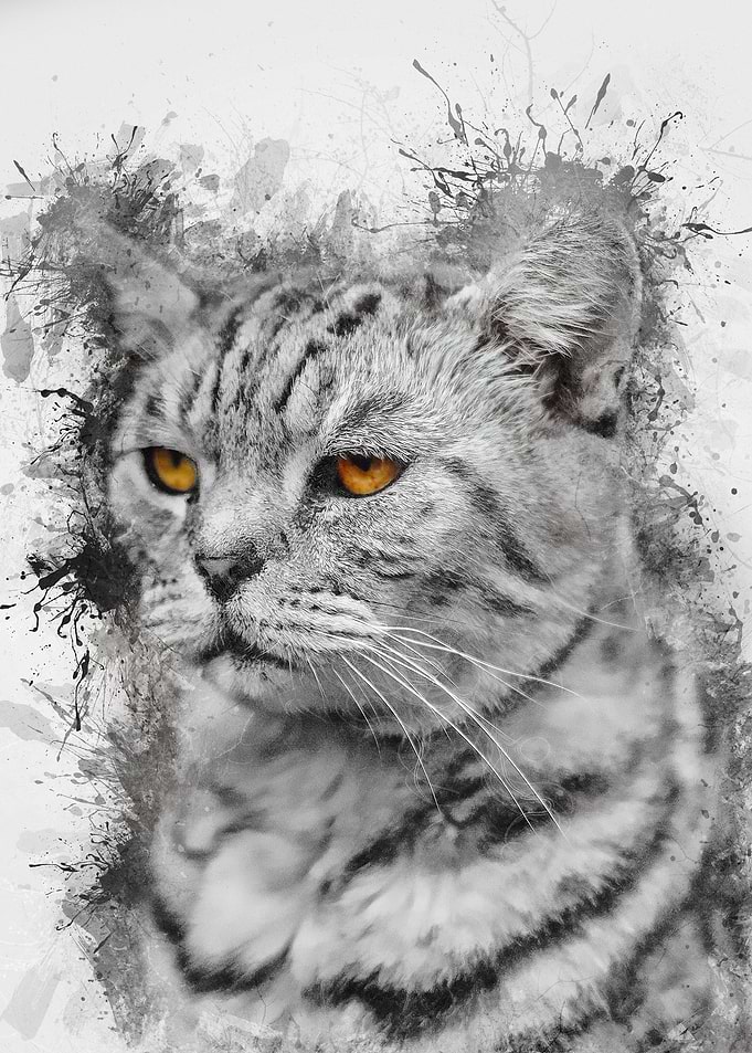 Cat Ink
