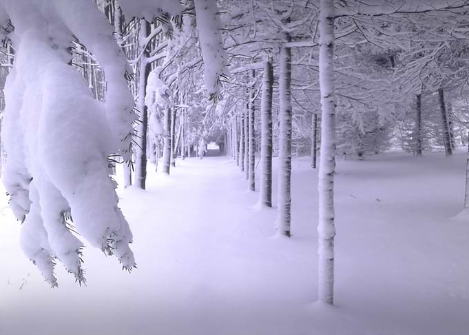 Winter is Here