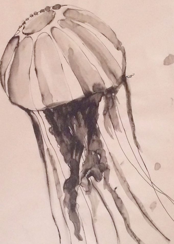 JELLYFISHBYJRCookBWInkonne