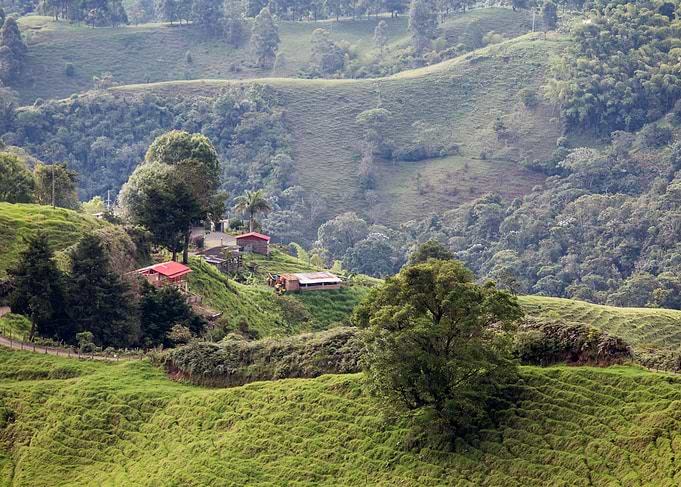 Eje Cafetero 1