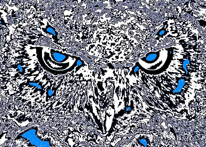 Owls face Number 3
