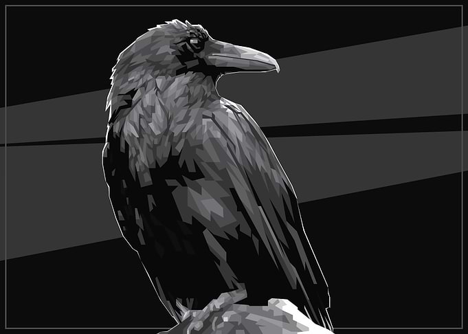 Raven The Mystic