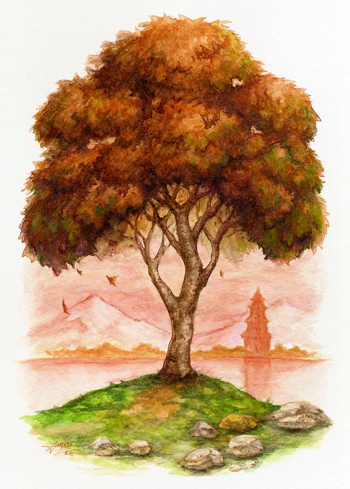 Shifting Seasons