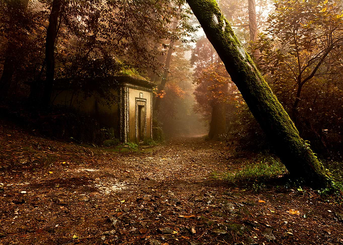 The enchanted trail