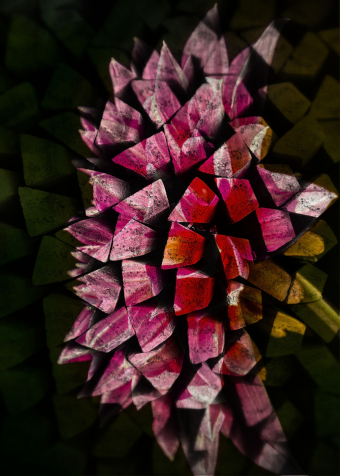 Dahlia