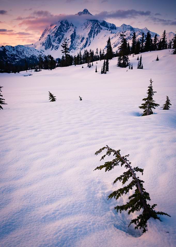 Winter