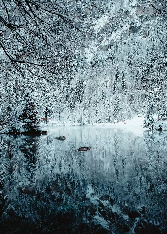 Reflection